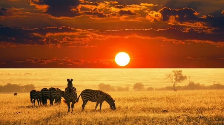 Afrika'nın Büyüleyici Ritmi: Güney Afrika Johannesburg (1 Gece) - Pılanesberg (1 Gece) - Sun City (1 Gece) - Cape Town (4 Gece)